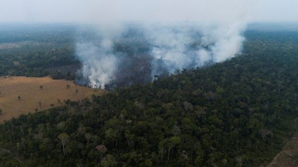 Deforestation in the Brazilian Amazon drops to 22.3%.