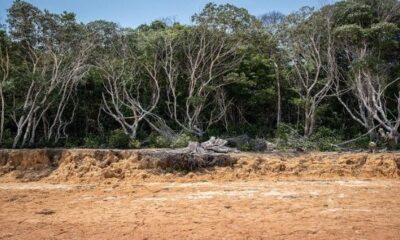 Les ministres des affaires étrangères des pays amazoniens s'unissent contre la crise climatique