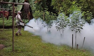 Panama exceeds 12,000 confirmed cases of dengue fever