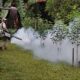 Panama exceeds 12,000 confirmed cases of dengue fever