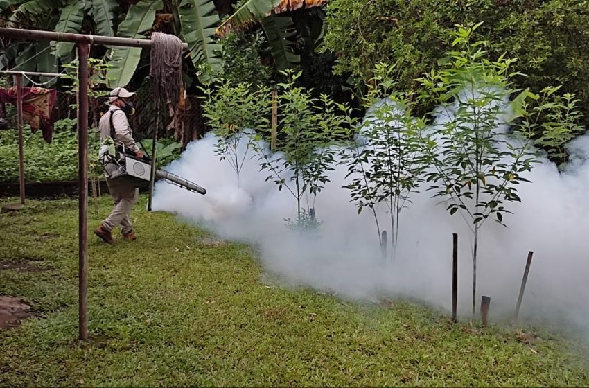 Panama exceeds 12,000 confirmed cases of dengue fever