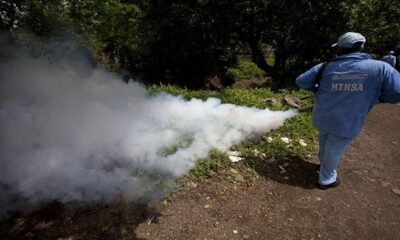 Costa Rica urged to expand prevention in the face of dengue fever rebound