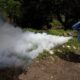 Costa Rica urged to expand prevention in the face of dengue fever rebound
