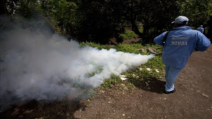 Costa Rica urged to expand prevention in the face of dengue fever rebound