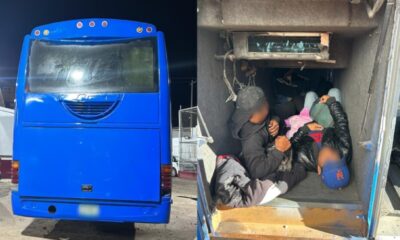 Operativo migratorio en México: Detienen a 100 migrantes en autobús turístico