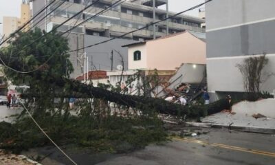 Sept morts dans une tempête à Sao Paulo