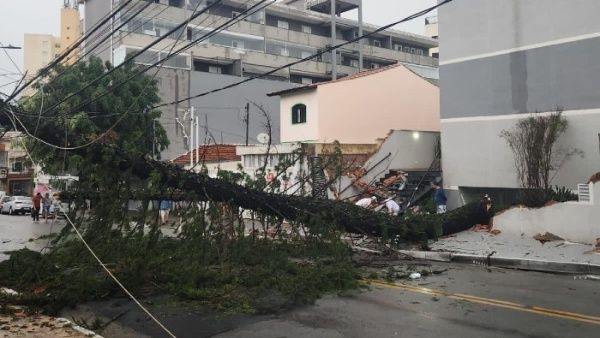 Sept morts dans une tempête à Sao Paulo