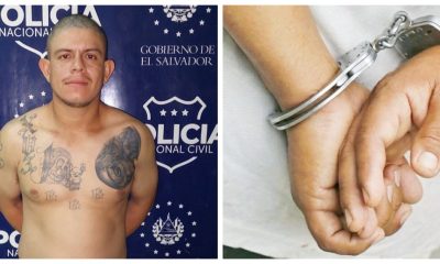 cortesía